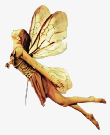 The wonder tree by Sumaya Dahir - Illustrated by Sumaya Dahir - Ourboox.com