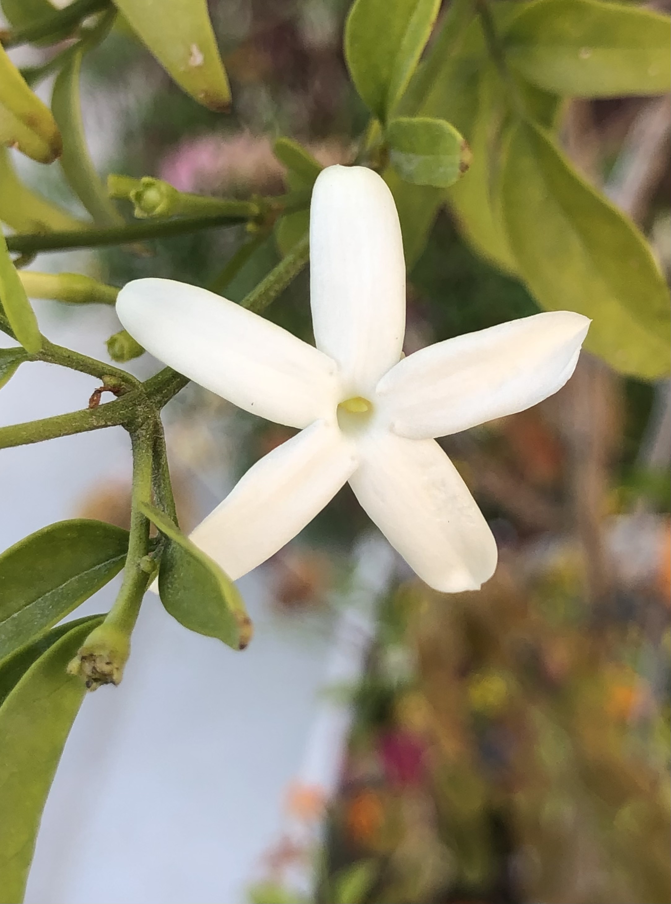 Behave as in Nature by Stephen Pohlmann - Illustrated by Stephen Pohlmann - Ourboox.com