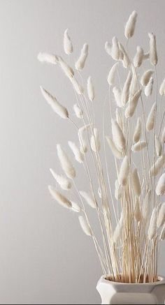 Catalogue de Conception De Fleurs by Simge Kaya - Illustrated by Simge KAYA - Ourboox.com