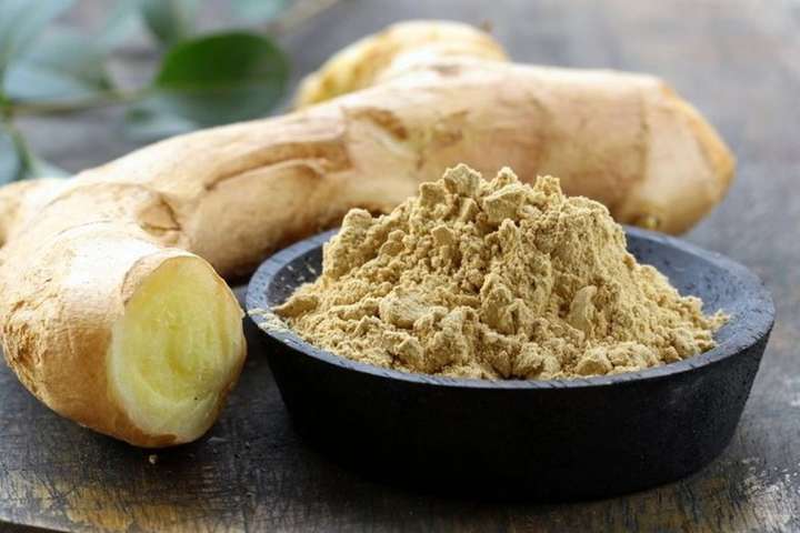 ЦАРИЦЯ КОРИЦЯ, ПАН ШАФРАН ТА ІНШІ by Larisa Yatsiuk - Illustrated by Лариса ЯЦЮК - Ourboox.com