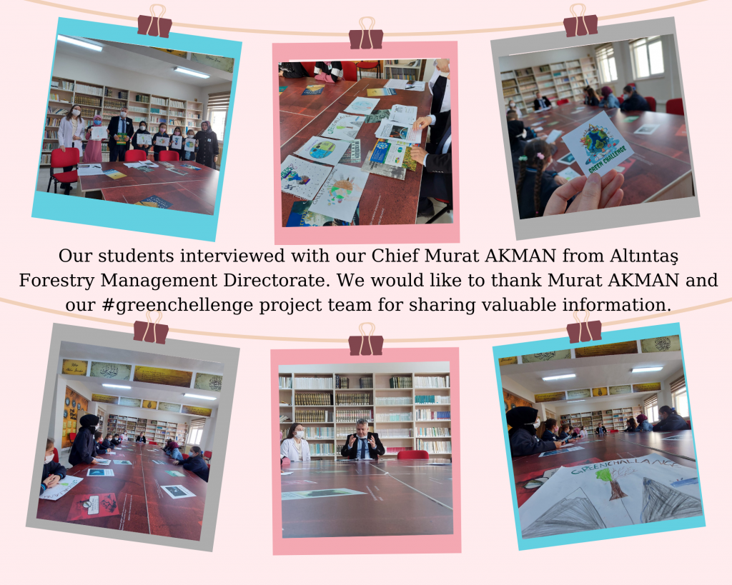 Sancaktar İmam Hatip Secondary School- Seren Havrandere