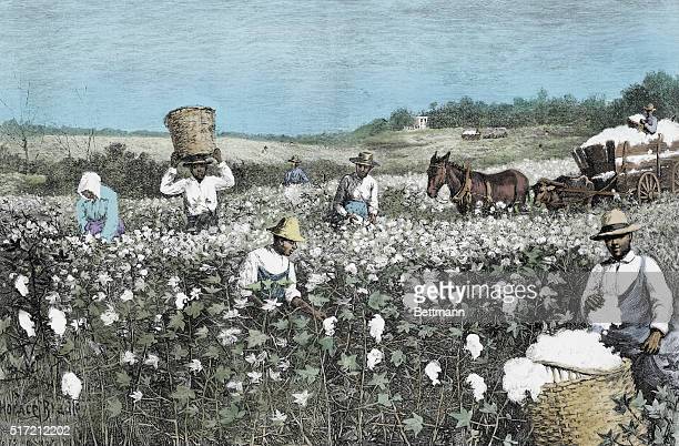 From slavery to Freedom by Nicholas Headlam - Illustrated by Google explorer  - Ourboox.com