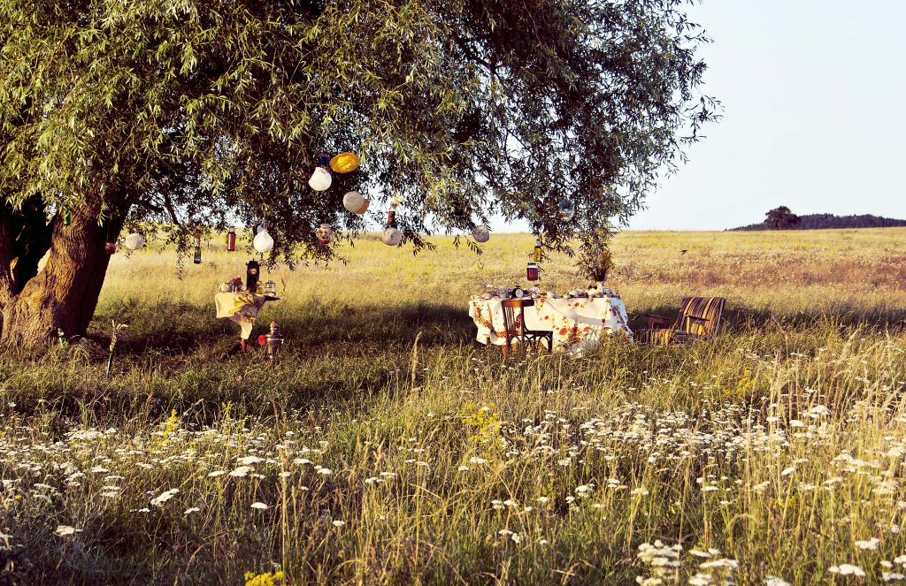 Alice by Naya Koleva - Illustrated by Dora Dikovska - Ourboox.com