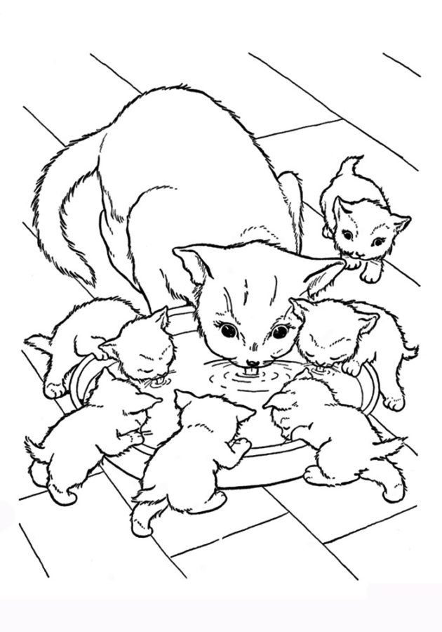 КУЗЬКА ІДЕ В ДИТЯЧИЙ САДОК by Tatyana Chugynova - Ourboox.com