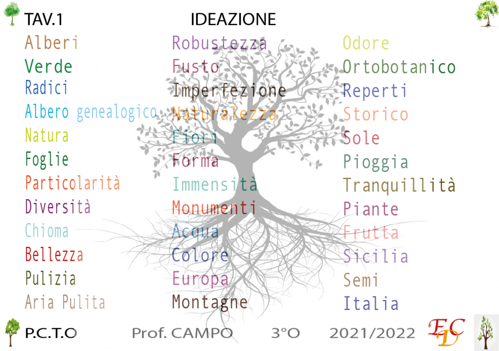 progetto grafico alberi monumentali by emily - Illustrated by Emily Di Cara  - Ourboox.com