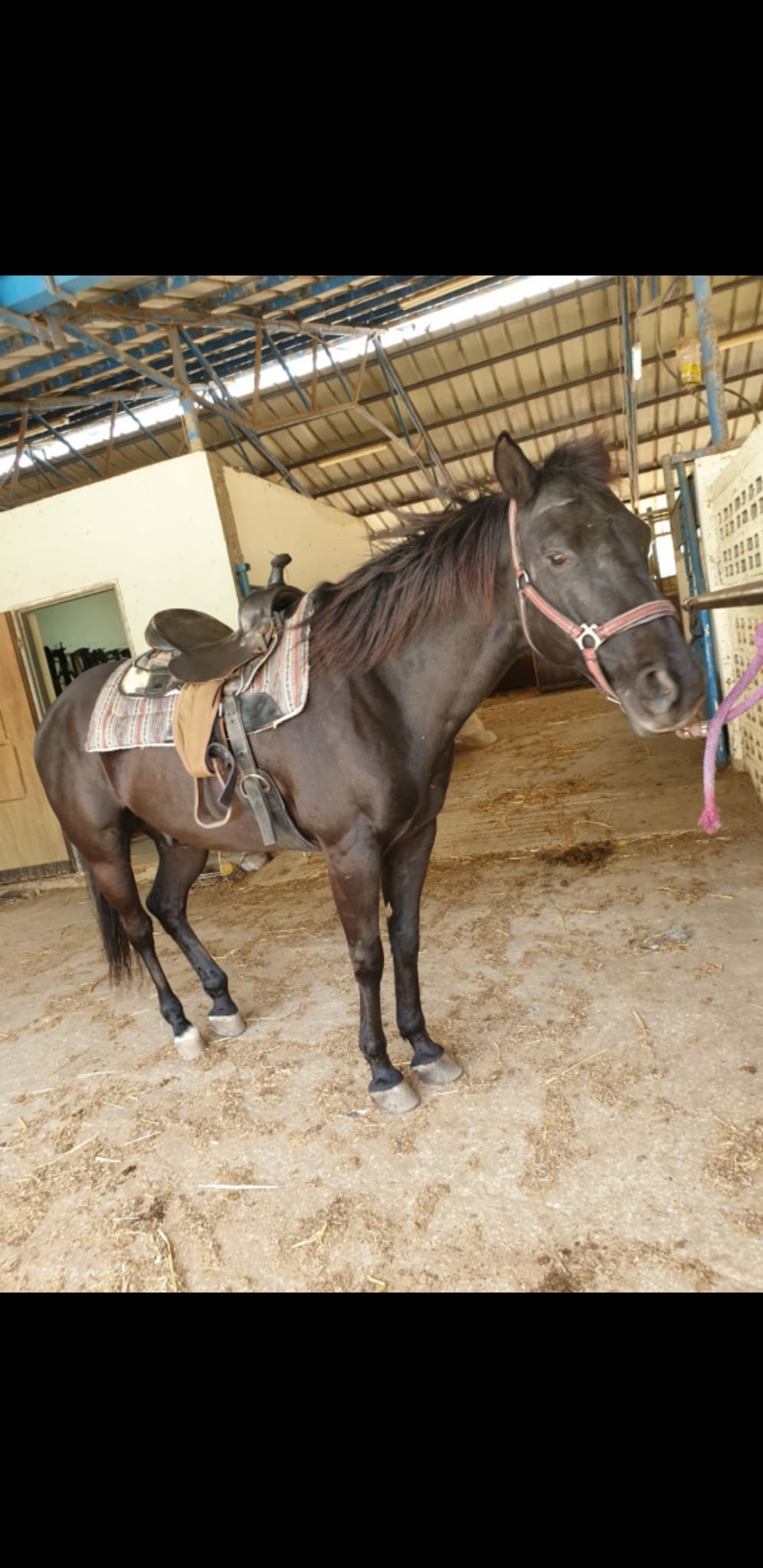 My own adventure by Adi Mejibovsky - Illustrated by Adi Mejibovsky - Ourboox.com