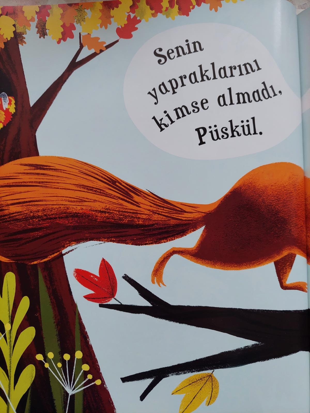 YAPRAKLARIMI KİM ALDI? by EDA VURAL - Illustrated by Eda VURAL - Ourboox.com