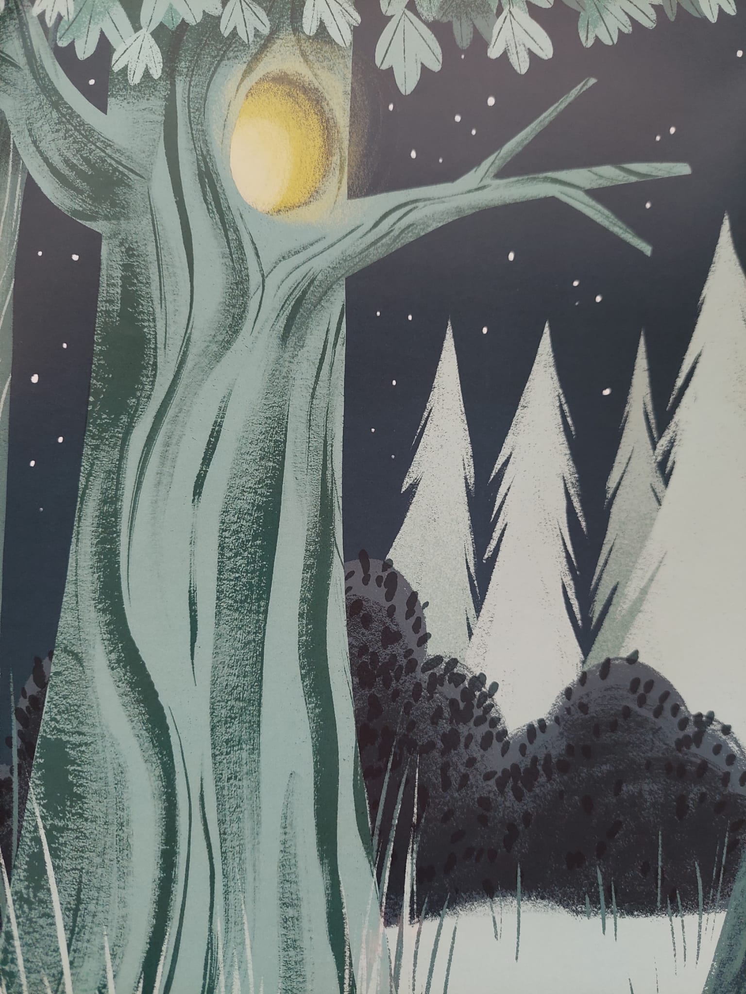 YAPRAKLARIMI KİM ALDI? by EDA VURAL - Illustrated by Eda VURAL - Ourboox.com