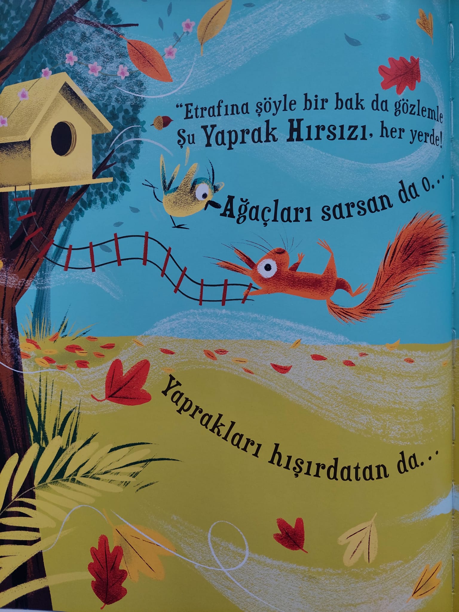 YAPRAKLARIMI KİM ALDI? by EDA VURAL - Illustrated by Eda VURAL - Ourboox.com