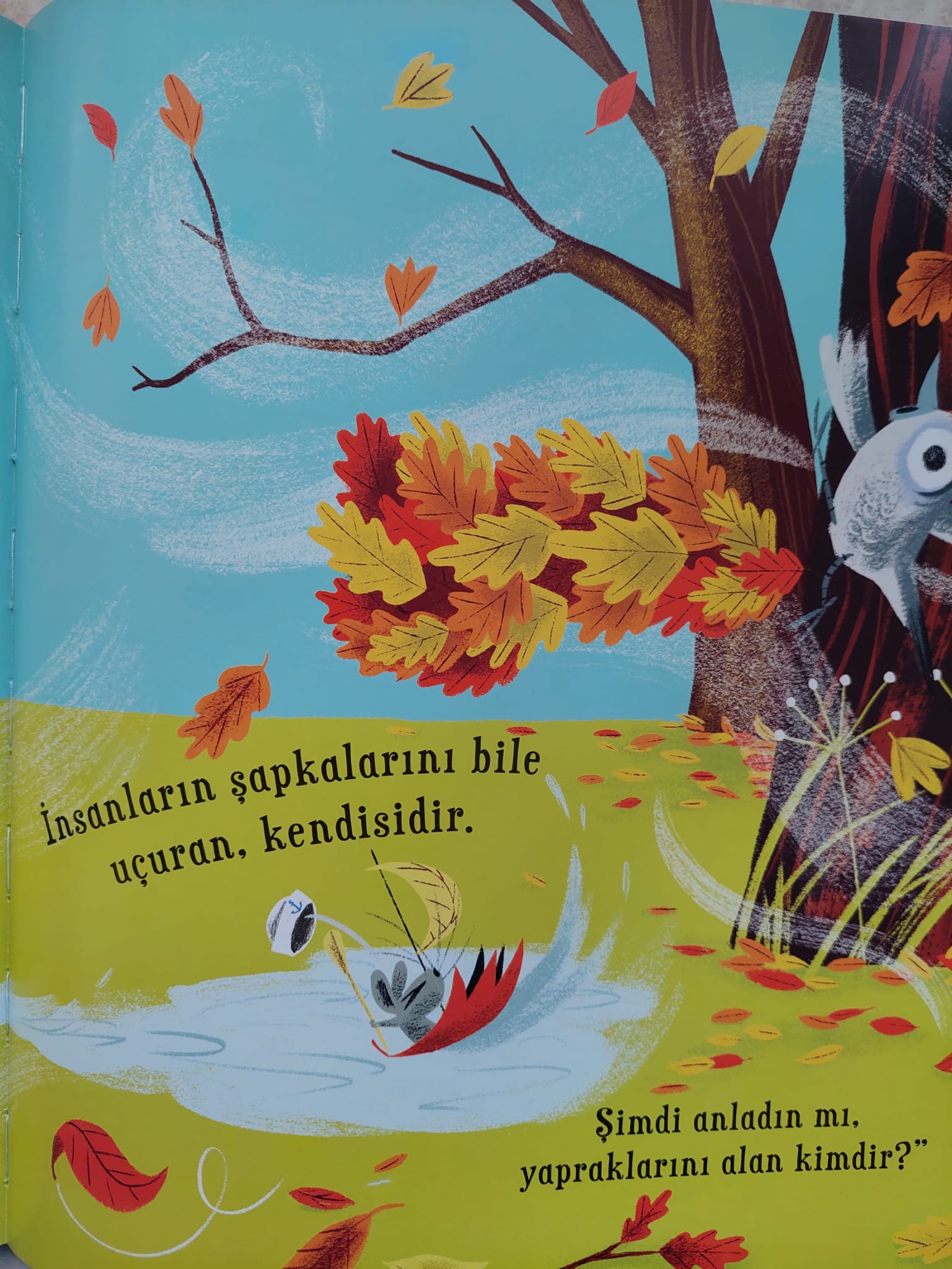 YAPRAKLARIMI KİM ALDI? by EDA VURAL - Illustrated by Eda VURAL - Ourboox.com