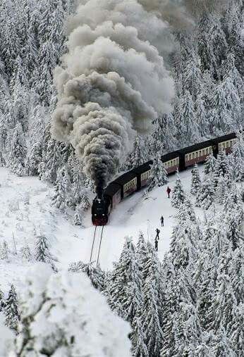 The Book Thief by Diala Kandalaft - Illustrated by Diala Kandalaft - Ourboox.com