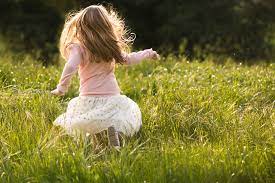 The wonder tree by Sumaya Dahir - Illustrated by Sumaya Dahir - Ourboox.com