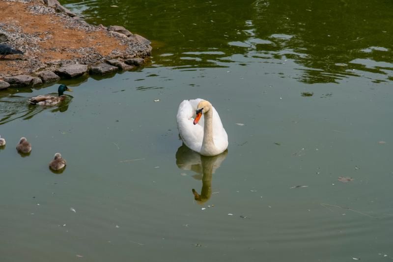 Kharkiv Attractions by elif - Illustrated by Elif Özdemir, Ceren Gizir, Kardelen Gökgözlüoğlu - Ourboox.com