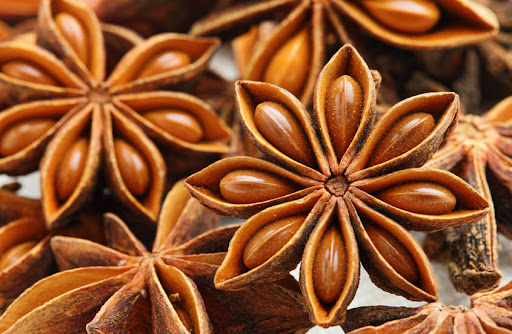 ЦАРИЦЯ КОРИЦЯ, ПАН ШАФРАН ТА ІНШІ by Larisa Yatsiuk - Illustrated by Лариса ЯЦЮК - Ourboox.com