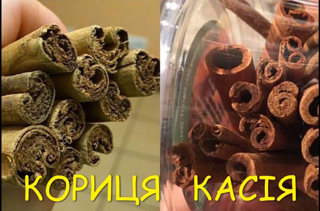 ЦАРИЦЯ КОРИЦЯ, ПАН ШАФРАН ТА ІНШІ by Larisa Yatsiuk - Illustrated by Лариса ЯЦЮК - Ourboox.com