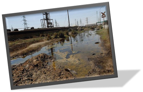 Дослідження pH атмосферних опадів та їхнього впливу на різні матеріали у довкіллі by elenka - Ourboox.com