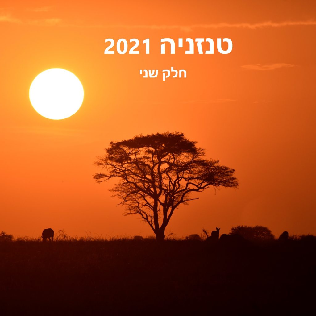 הטיול שלנו לטנזניה 2021 – חלק שני by מיכל בן הגיא - Illustrated by מיכל סלע ואבנר אייזיק - Ourboox.com