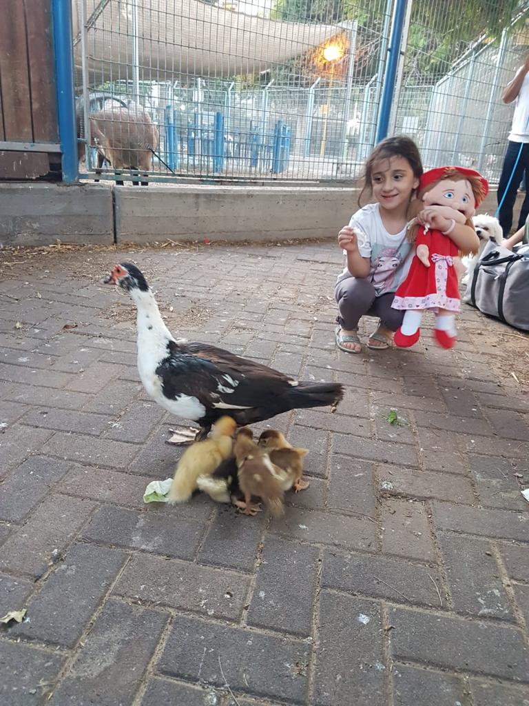 שבת בבוקר ,יום יפה! by Alina Cohen - Illustrated by ילדי גן מרגנית - Ourboox.com