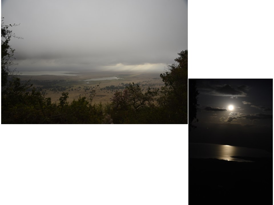 הטיול שלנו לטנזניה 2021 – חלק שני by מיכל בן הגיא - Illustrated by מיכל סלע ואבנר אייזיק - Ourboox.com