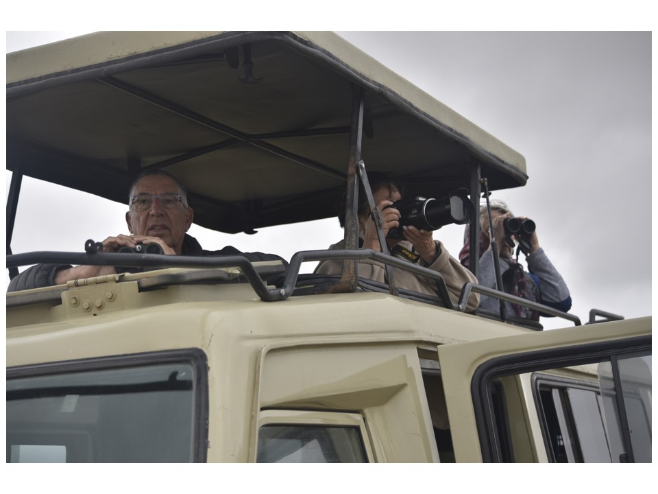 הטיול שלנו לטנזניה 2021 – חלק שני by מיכל בן הגיא - Illustrated by מיכל סלע ואבנר אייזיק - Ourboox.com