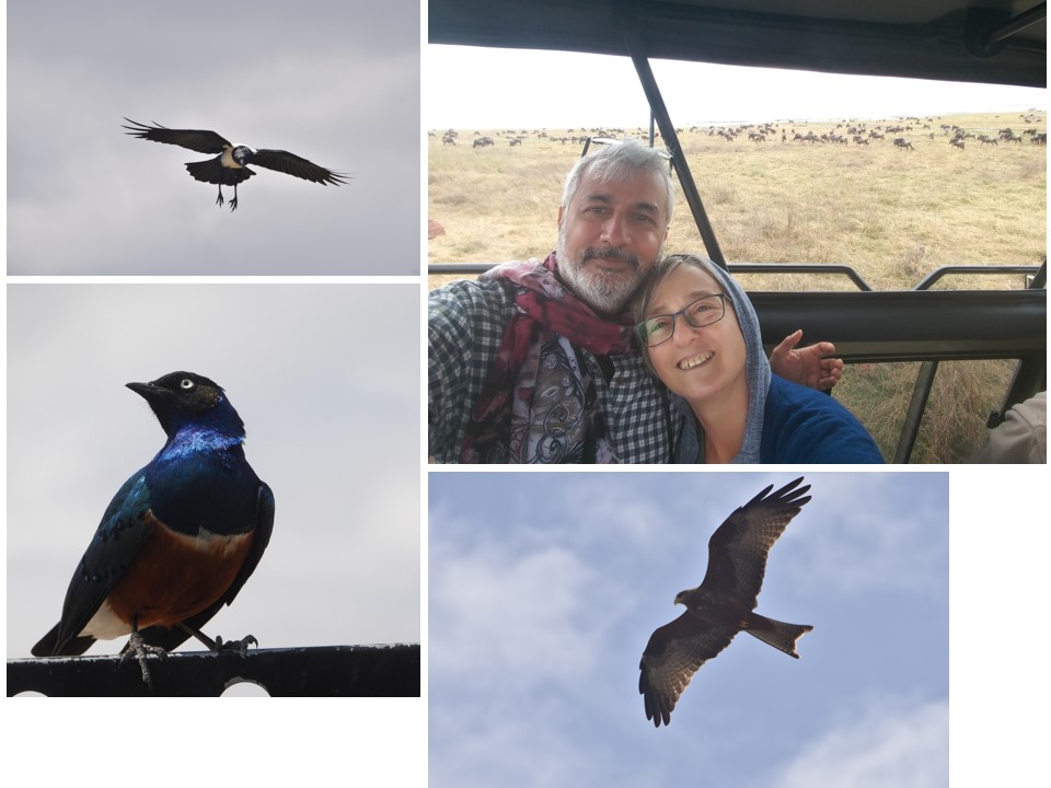 הטיול שלנו לטנזניה 2021 – חלק שני by מיכל בן הגיא - Illustrated by מיכל סלע ואבנר אייזיק - Ourboox.com