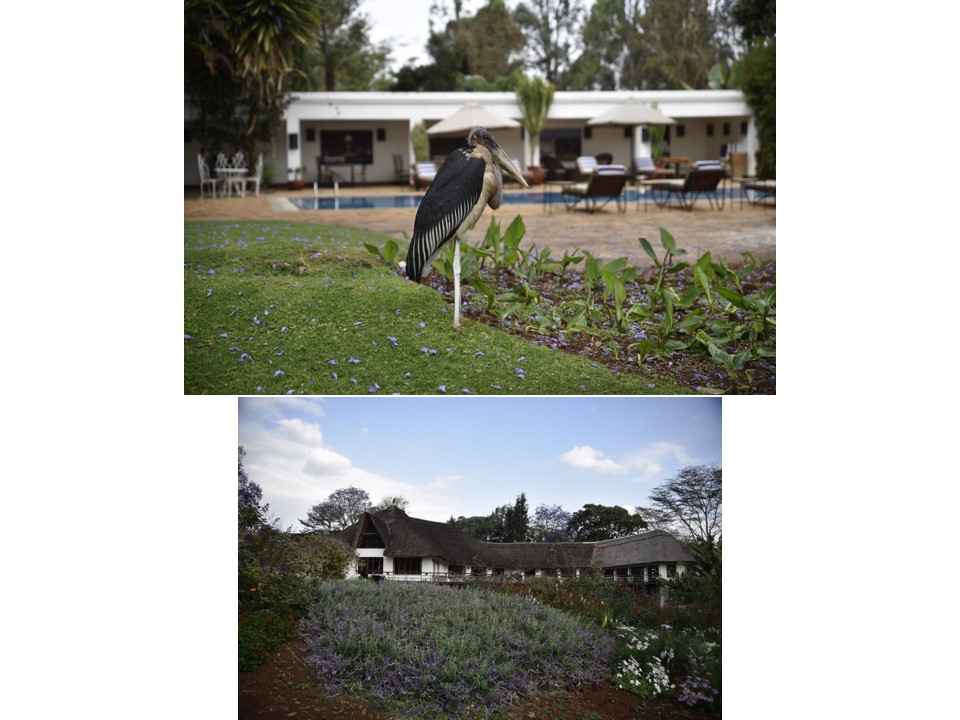 הטיול שלנו לטנזניה 2021 – חלק שני by מיכל בן הגיא - Illustrated by מיכל סלע ואבנר אייזיק - Ourboox.com