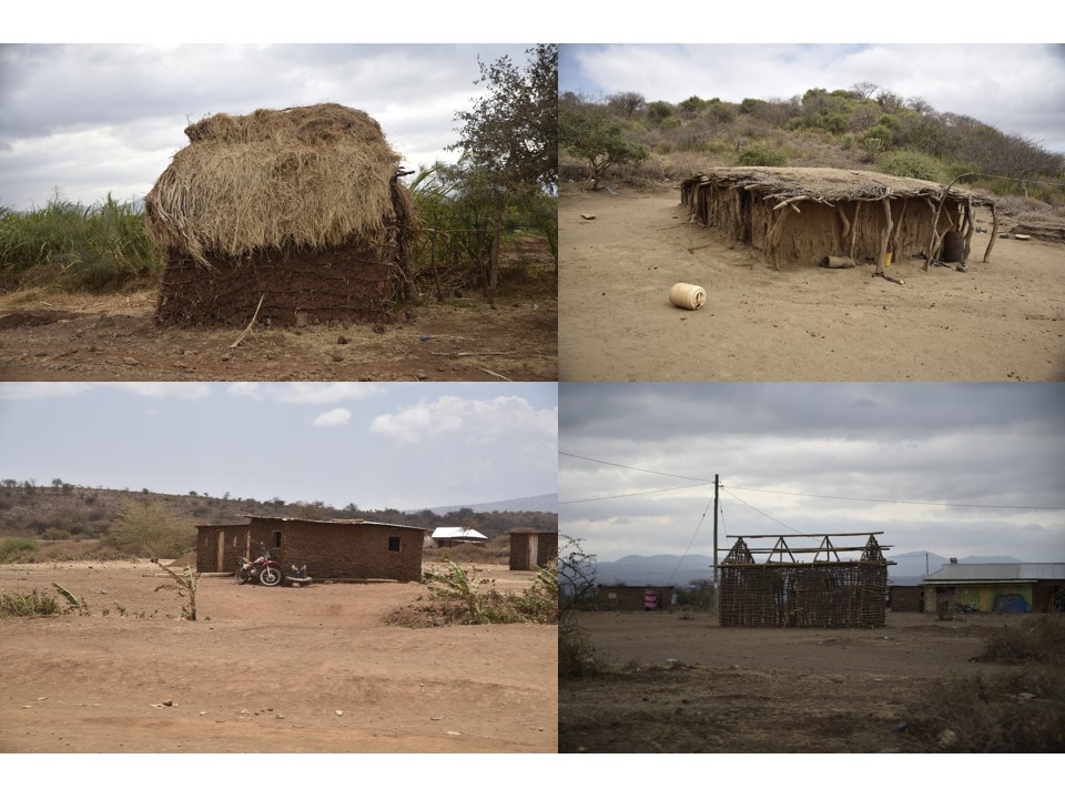 הטיול שלנו לטנזניה 2021 – חלק שני by מיכל בן הגיא - Illustrated by מיכל סלע ואבנר אייזיק - Ourboox.com