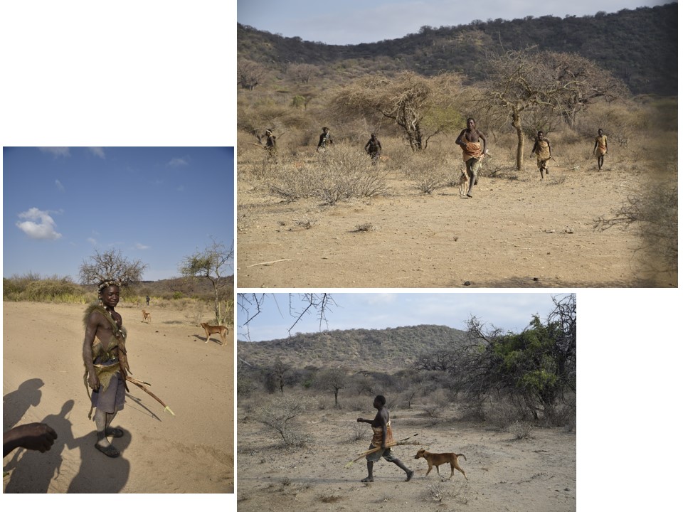 הטיול שלנו לטנזניה 2021 – חלק שני by מיכל בן הגיא - Illustrated by מיכל סלע ואבנר אייזיק - Ourboox.com