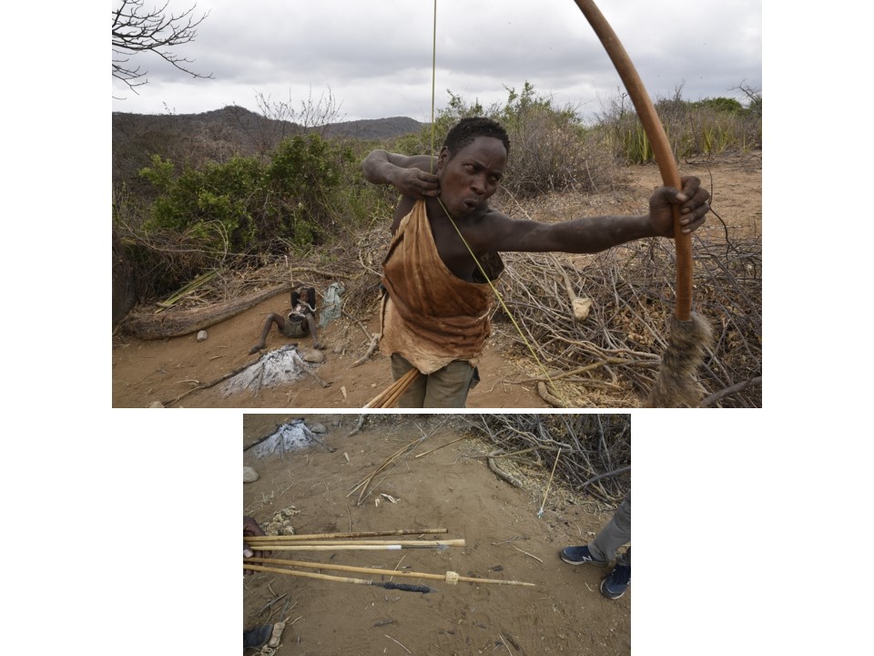 הטיול שלנו לטנזניה 2021 – חלק שני by מיכל בן הגיא - Illustrated by מיכל סלע ואבנר אייזיק - Ourboox.com