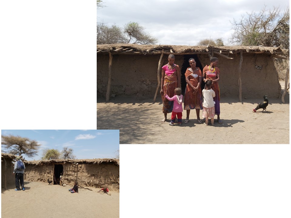 הטיול שלנו לטנזניה 2021 – חלק שני by מיכל בן הגיא - Illustrated by מיכל סלע ואבנר אייזיק - Ourboox.com