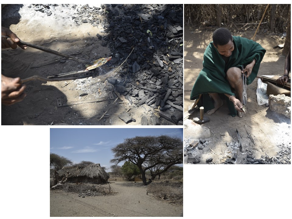 הטיול שלנו לטנזניה 2021 – חלק שני by מיכל בן הגיא - Illustrated by מיכל סלע ואבנר אייזיק - Ourboox.com