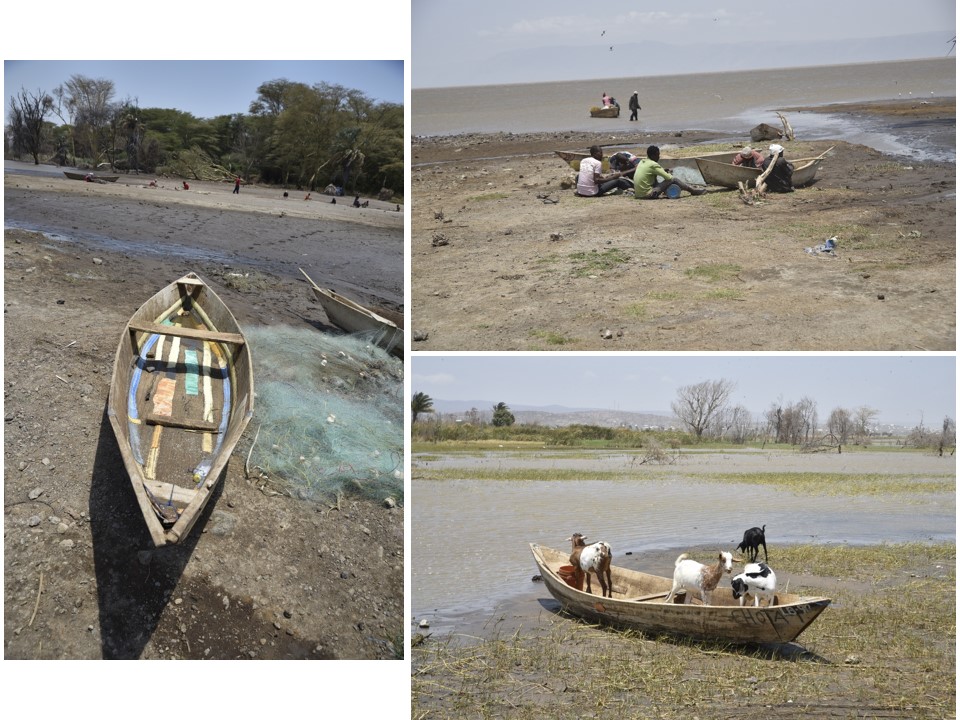 הטיול שלנו לטנזניה 2021 – חלק שני by מיכל בן הגיא - Illustrated by מיכל סלע ואבנר אייזיק - Ourboox.com