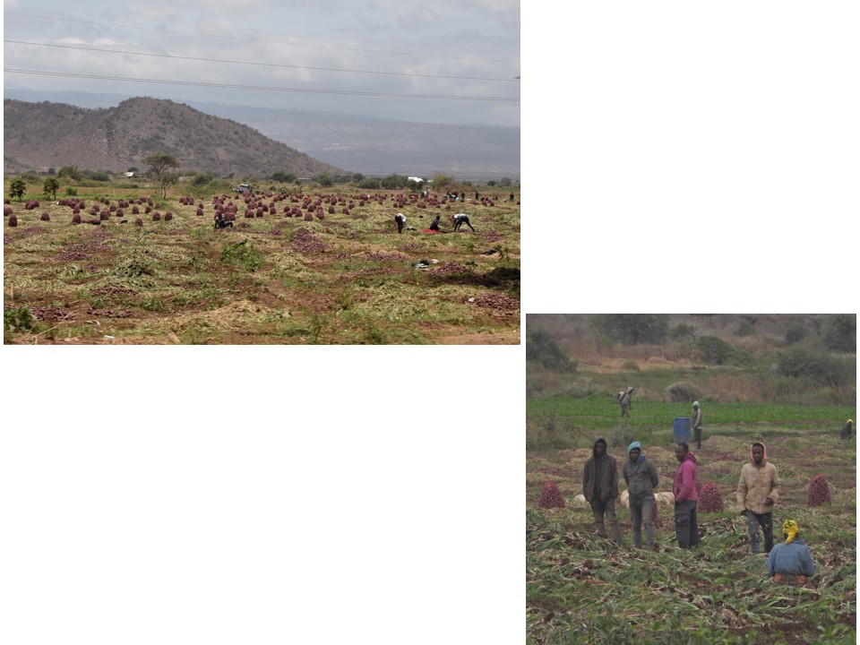 הטיול שלנו לטנזניה 2021 – חלק שני by מיכל בן הגיא - Illustrated by מיכל סלע ואבנר אייזיק - Ourboox.com