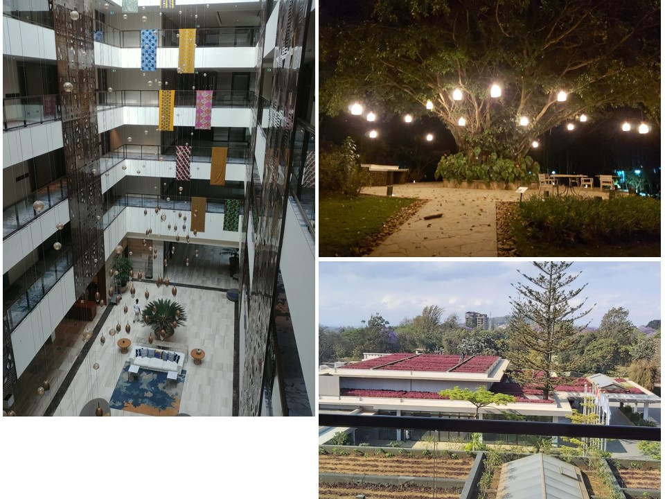 הטיול שלנו לטנזניה 2021 – חלק שני by מיכל בן הגיא - Illustrated by מיכל סלע ואבנר אייזיק - Ourboox.com