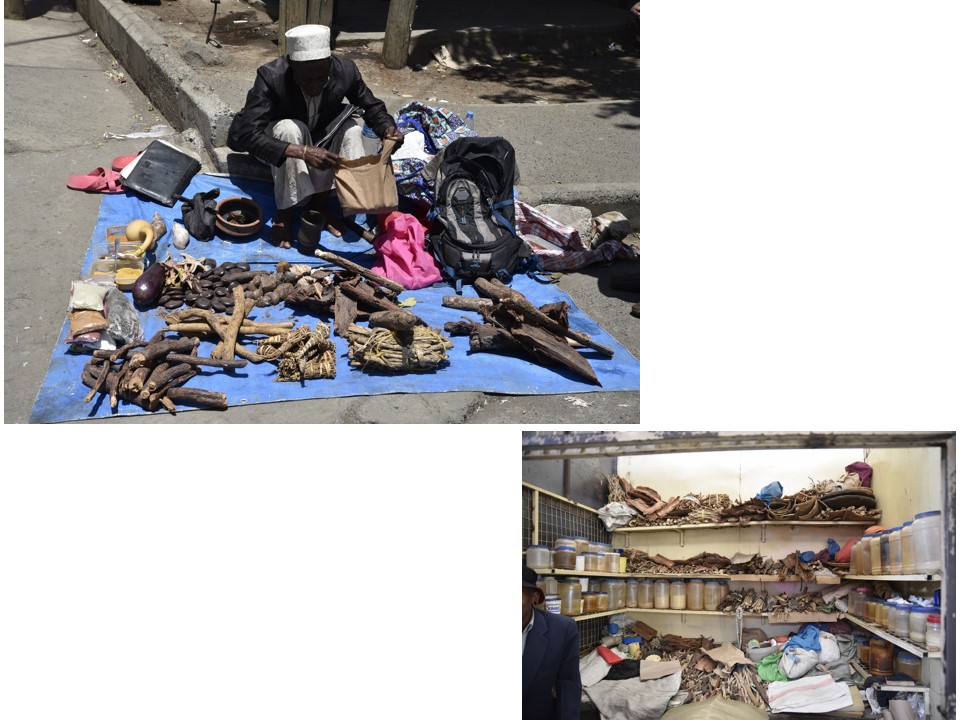 הטיול שלנו לטנזניה 2021 – חלק שני by מיכל בן הגיא - Illustrated by מיכל סלע ואבנר אייזיק - Ourboox.com