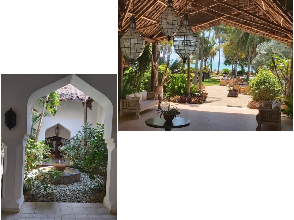 הטיול שלנו לטנזניה 2021 – חלק שני by מיכל בן הגיא - Illustrated by מיכל סלע ואבנר אייזיק - Ourboox.com