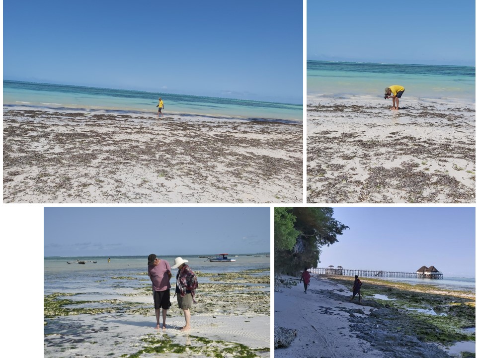 הטיול שלנו לטנזניה 2021 – חלק שני by מיכל בן הגיא - Illustrated by מיכל סלע ואבנר אייזיק - Ourboox.com