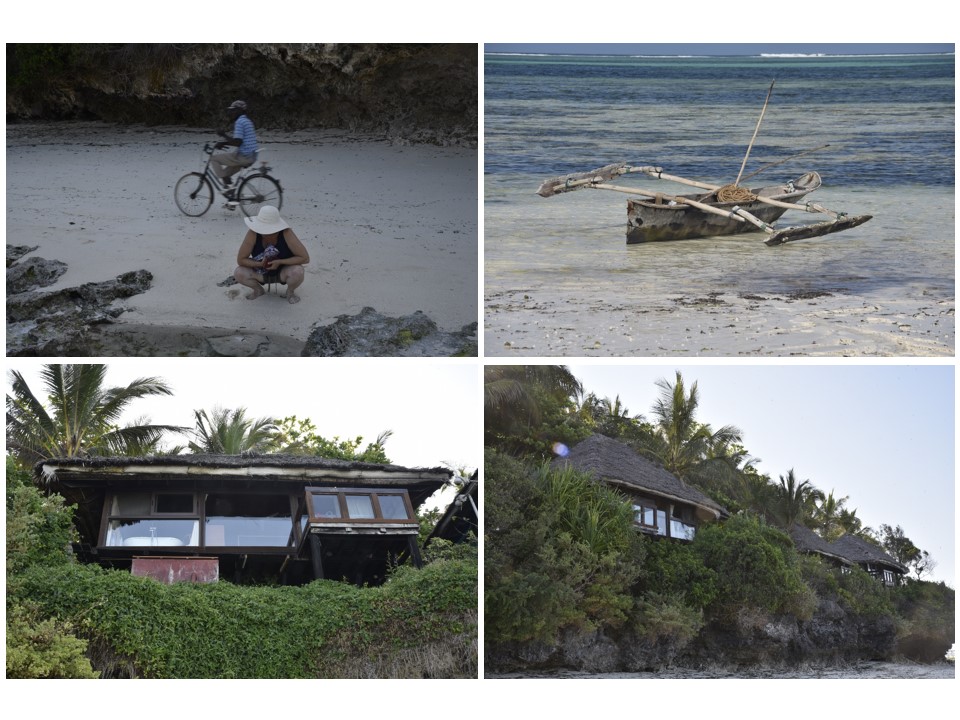 הטיול שלנו לטנזניה 2021 – חלק שני by מיכל בן הגיא - Illustrated by מיכל סלע ואבנר אייזיק - Ourboox.com