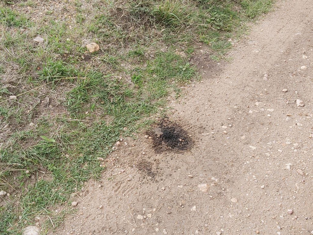 הטיול שלנו לטנזניה 2021 – חלק ראשון by מיכל בן הגיא - Illustrated by מיכל סלע ואבנר אייזיק - Ourboox.com