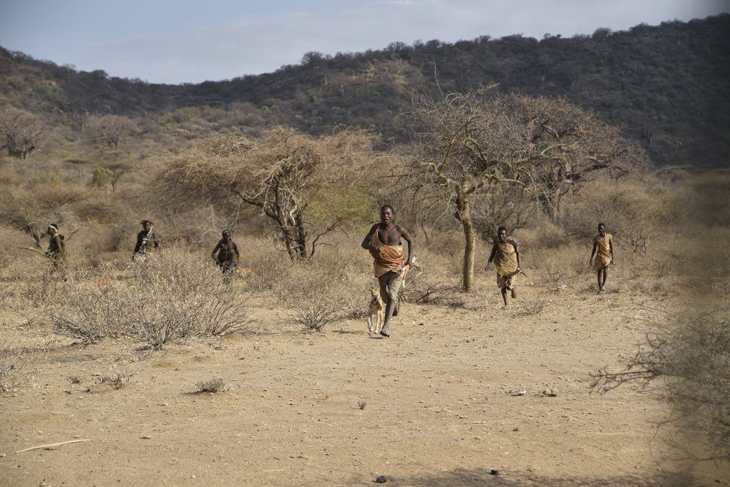 הטיול שלנו לטנזניה 2021 – חלק ראשון by מיכל בן הגיא - Illustrated by מיכל סלע ואבנר אייזיק - Ourboox.com