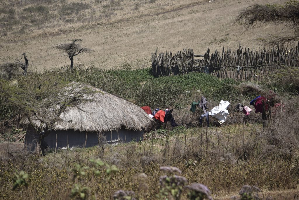 הטיול שלנו לטנזניה 2021 – חלק ראשון by מיכל בן הגיא - Illustrated by מיכל סלע ואבנר אייזיק - Ourboox.com