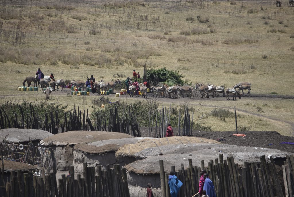 הטיול שלנו לטנזניה 2021 – חלק ראשון by מיכל בן הגיא - Illustrated by מיכל סלע ואבנר אייזיק - Ourboox.com