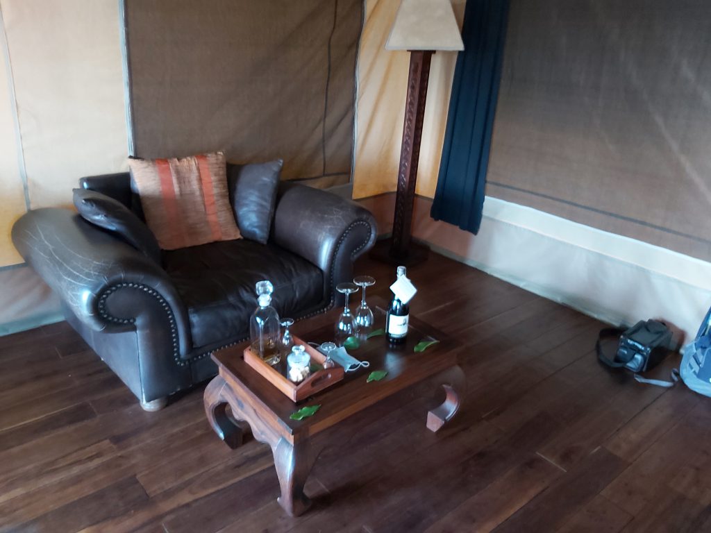 הטיול שלנו לטנזניה 2021 – חלק ראשון by מיכל בן הגיא - Illustrated by מיכל סלע ואבנר אייזיק - Ourboox.com