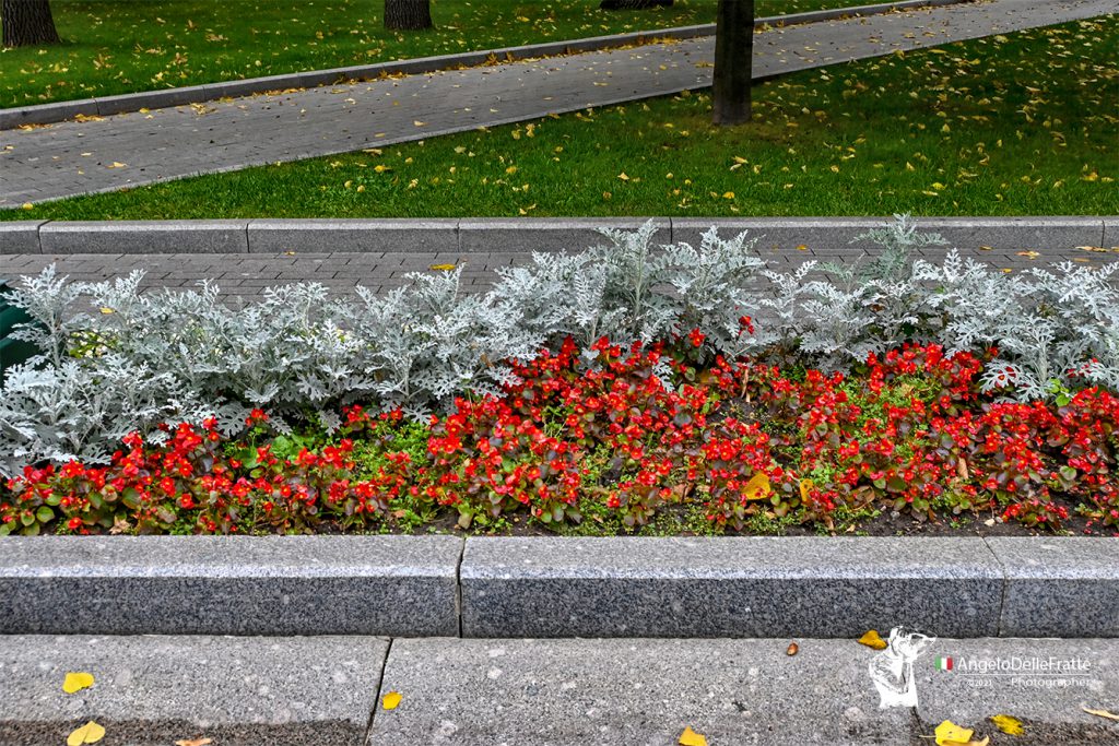 Fotografare Viaggiando – Mosca 2021 by Angelo Delle Fratte - Illustrated by Angelo Delle Fratte - Ourboox.com