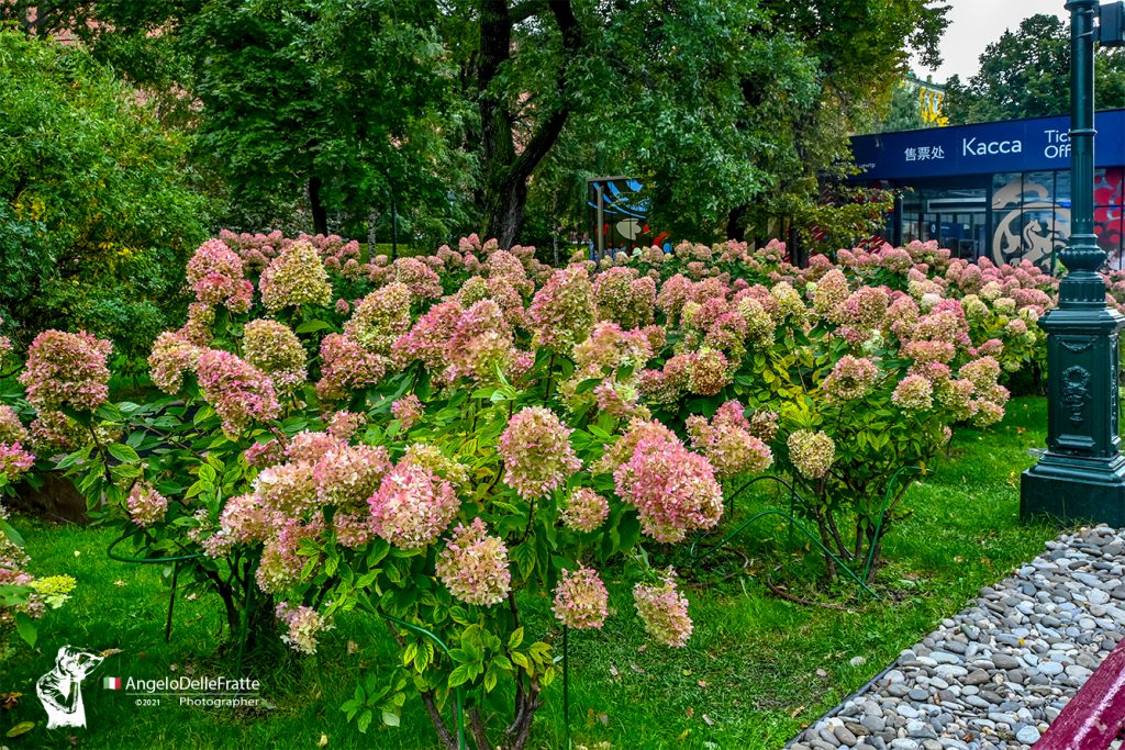 Fotografare Viaggiando – Mosca 2021 by Angelo Delle Fratte - Illustrated by Angelo Delle Fratte - Ourboox.com