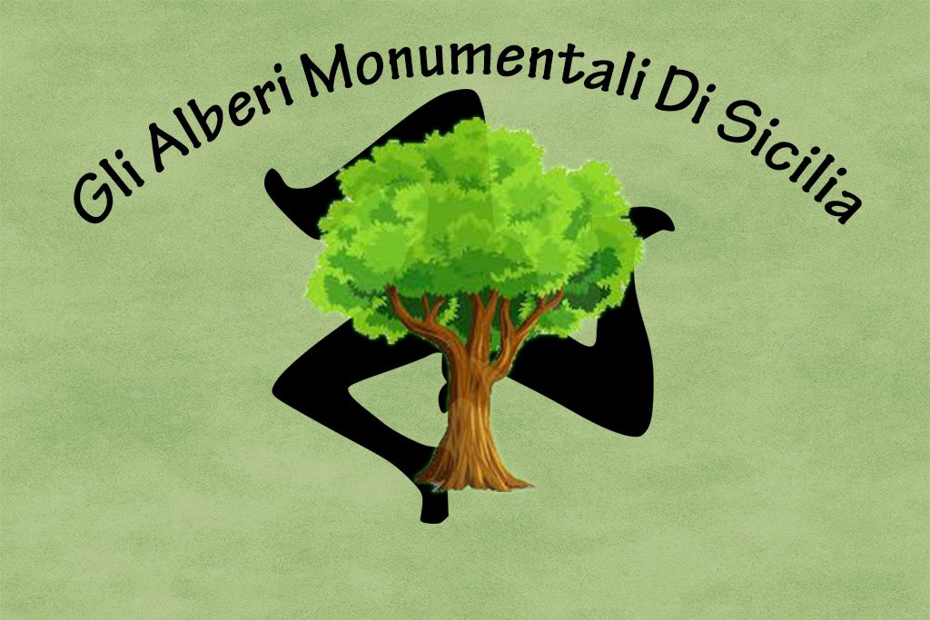 Gli Alberi Monumentali Di Sicilia by Angelo Salpietra - Illustrated by Angelo Salpietra - Ourboox.com