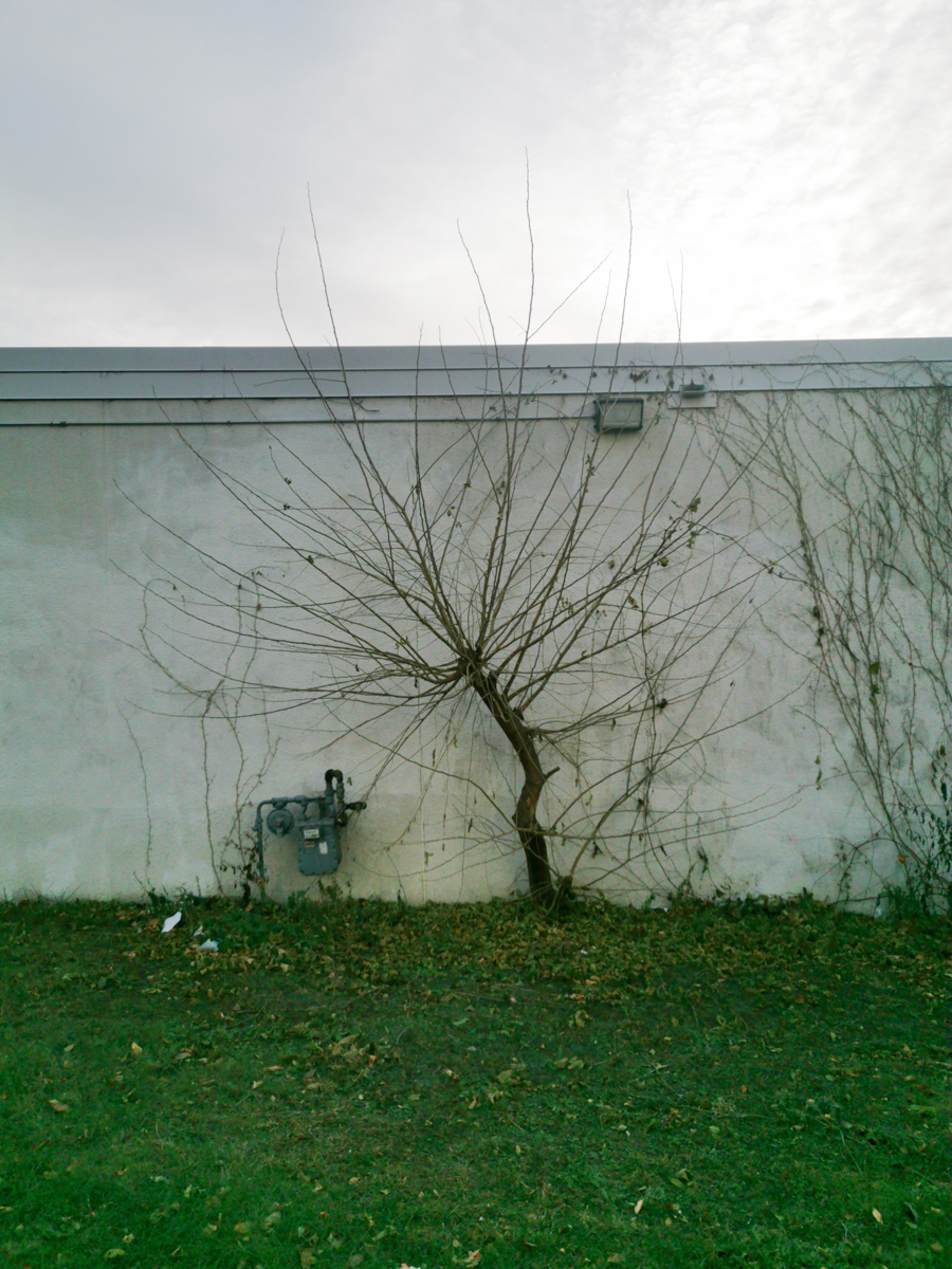 Transmigration by Andy Liu - Illustrated by Zhenyu Liu - Ourboox.com