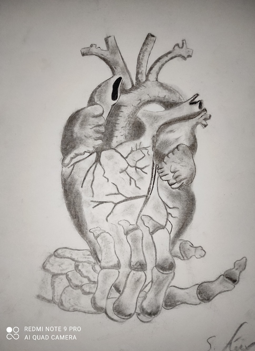 MEINE KOHLEZEICHNUNGEN – 2022 – Sabrina Luxem by SABRINA LUXEM | ESSEN | GERMANY - Illustrated by SABRINA LUXEM | ESSEN | GERMANY - Ourboox.com