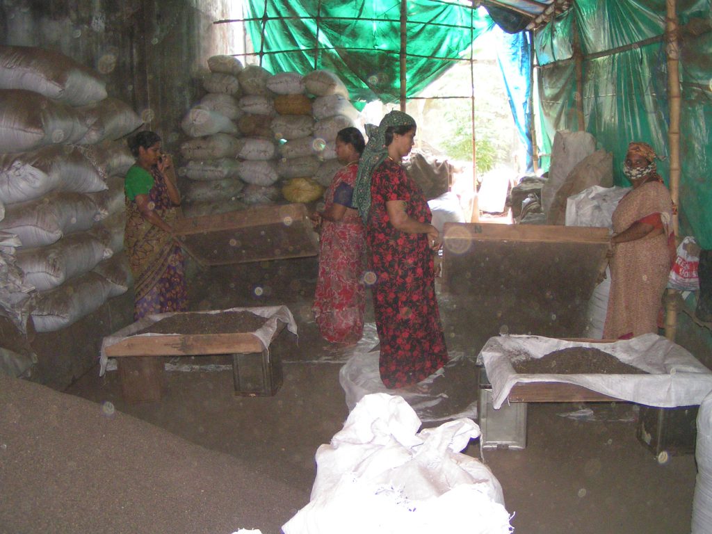 טיול שורשים להודו – חלק שני דרום הודו by מיכל בן הגיא - Illustrated by אבנר אייזיק - Ourboox.com