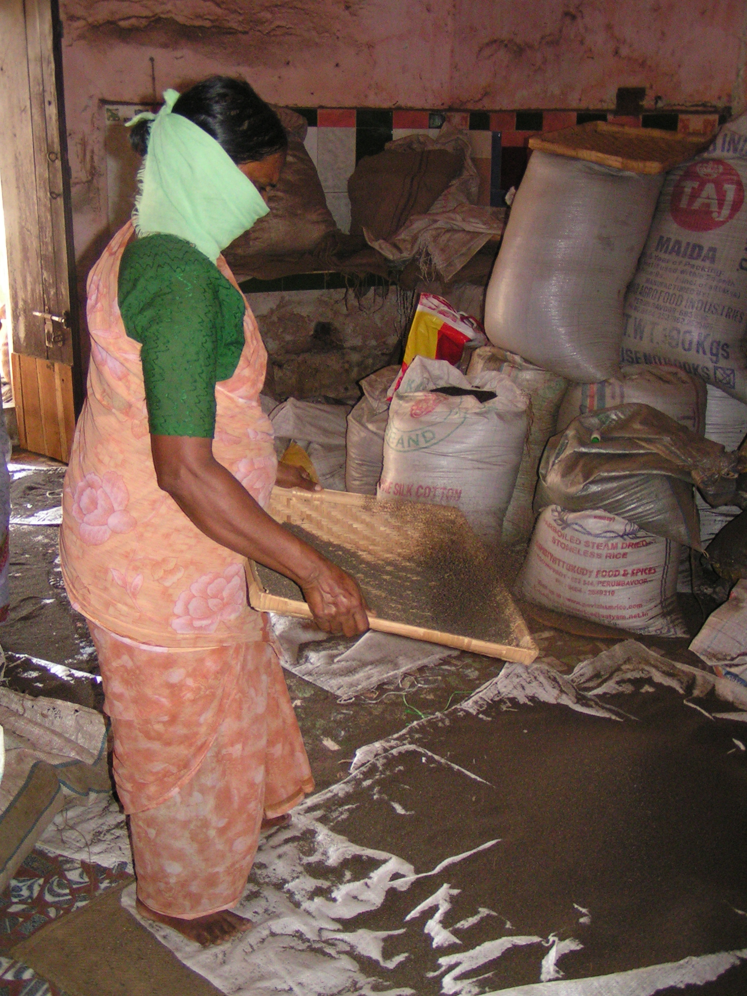 טיול שורשים להודו – חלק שני דרום הודו by מיכל בן הגיא - Illustrated by אבנר אייזיק - Ourboox.com